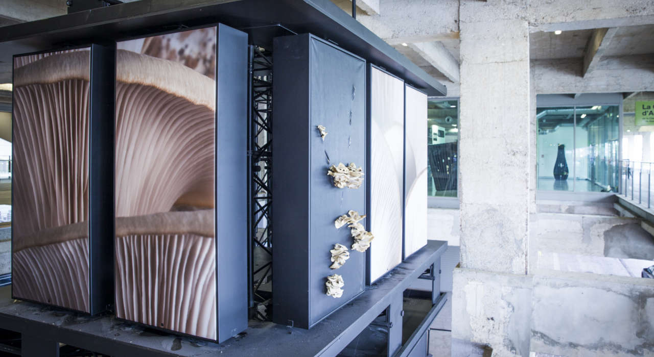 Ensemble Citedelamode @ Brigitte Baudesson 8399