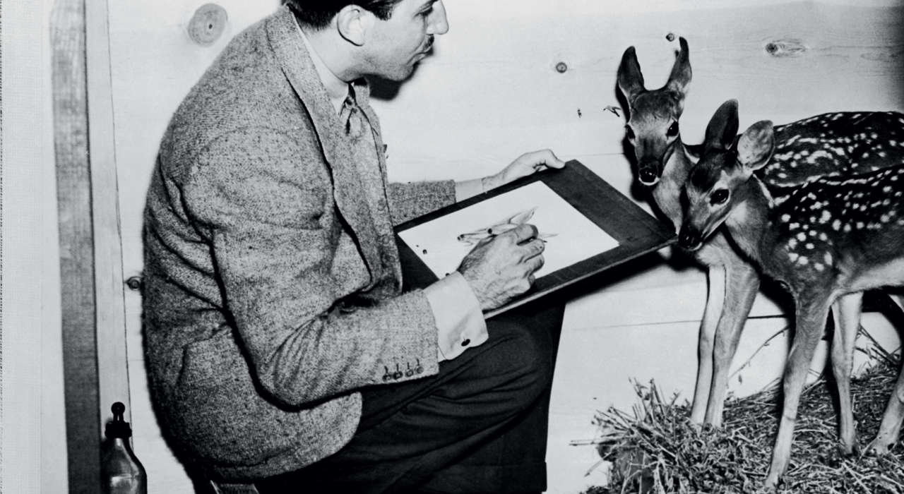 Walt Disney Dessinant Un Faon Bambi 1942 Disney
